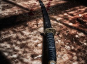 otematata workshop october 11  2015151011 edit