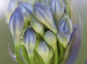 untitled shoot 20150104