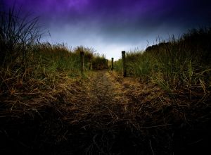 watt j the path