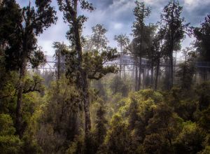 untitled shoot 20210505 hdr edit