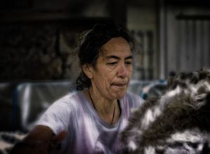 shearing august 29  2016160829 dxo edit